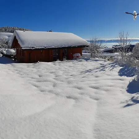 Lejlighed The Saint-George